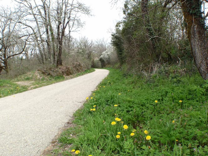 Voie verte de Douelle sur l’ancien tracé ferroviaire.