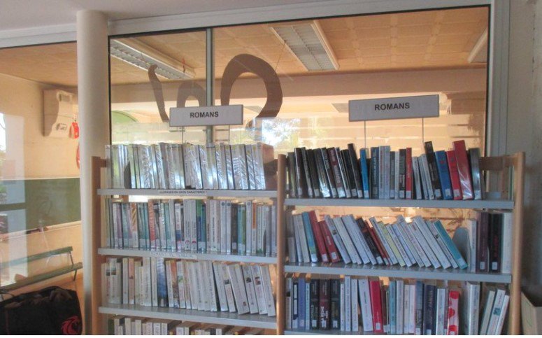 bibliotheque-douelle