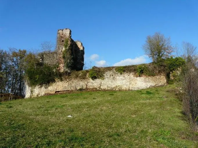 Ruines du château de Cessac à Douelle.