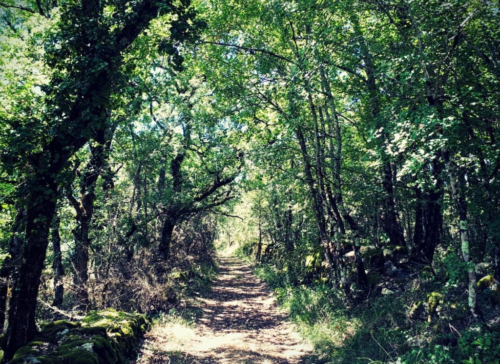 Chemin de randonnée du GR36 entre Douelle et Cahors.